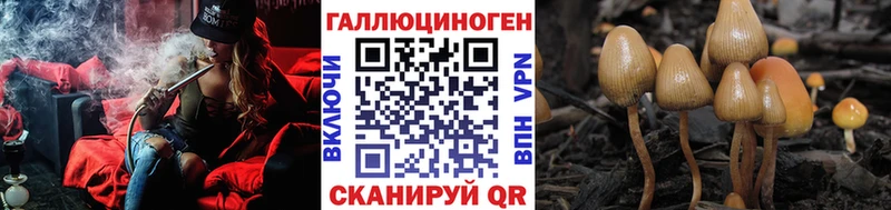 где купить   Асино  Псилоцибиновые грибы MAGIC MUSHROOMS 