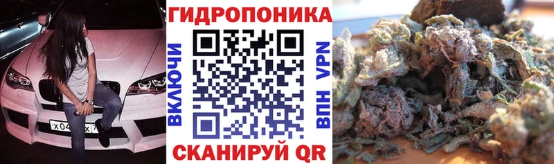 купить наркотики цена  Асино  Марихуана White Widow 